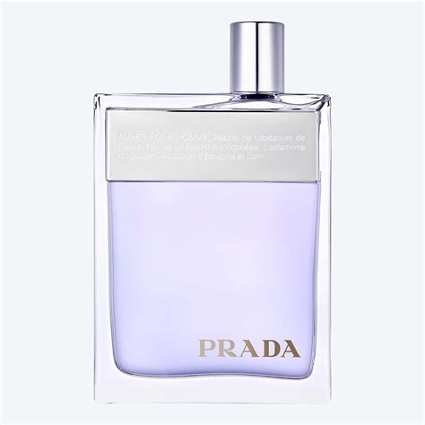 parfum amber prada homme|prada amber men 100ml edt.